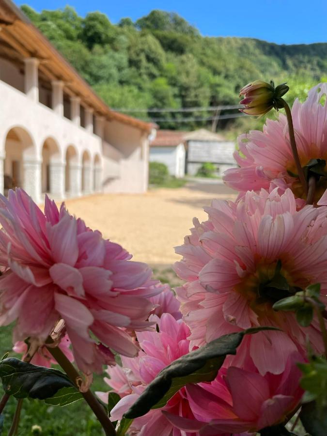 Agriturismo Il Bosco Camere Vittorio Veneto Bagian luar foto